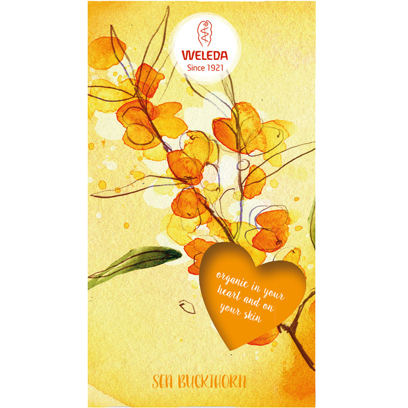 Vartalonhoitosetti "Sea Buchthorn Set" - 67% alennus
